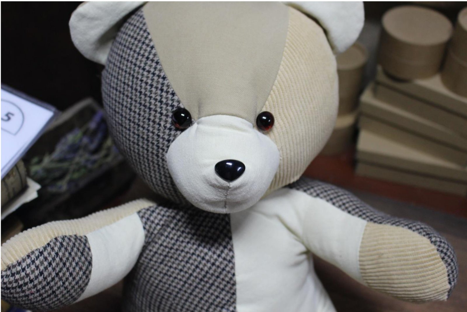 Frente osito memorial Teddy